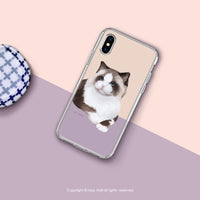 iPhone 16/15/14/13/12/SE3 迷漾仙氣喵星人 透明耐衝擊防摔手機殼